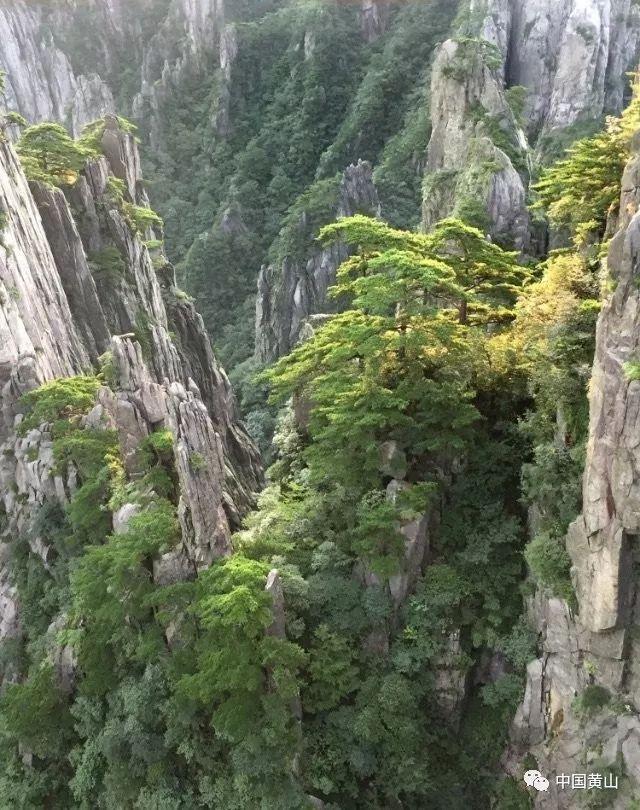 逃离天蓝色房屋